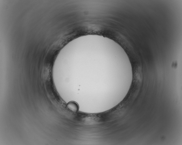 X0000113170468200909251422