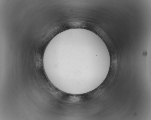 X0000113170469200909251422