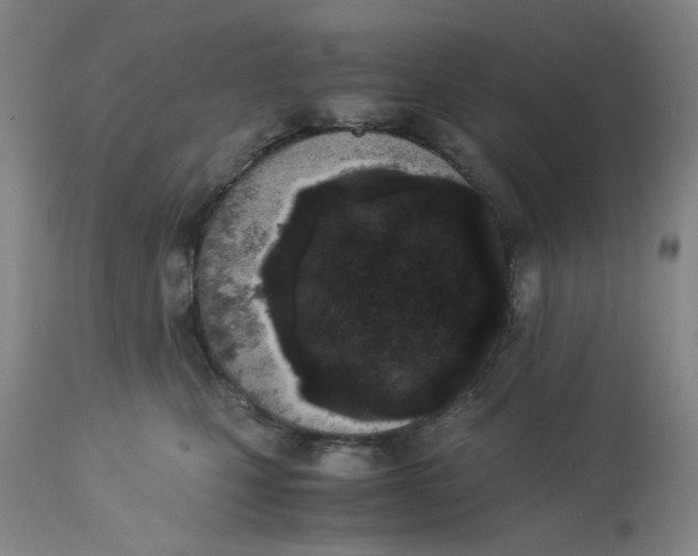 X0000113170471200909251422