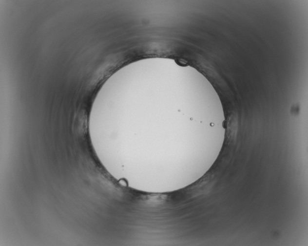 X0000113170474200909251422