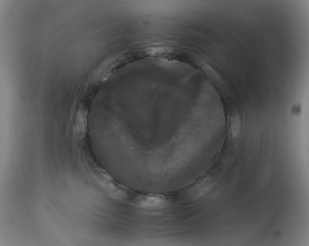 X0000113170475200909251422