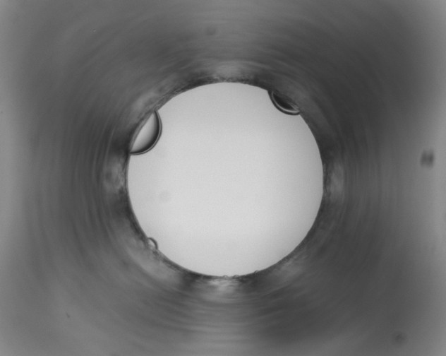 X0000113170478200909251422