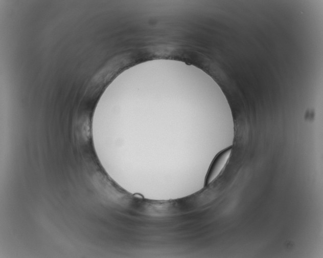 X0000113170479200909251422