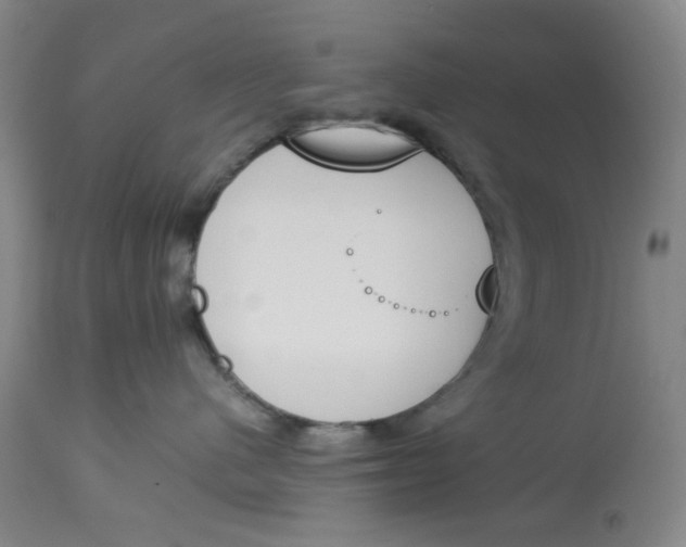 X0000113170480200909251422