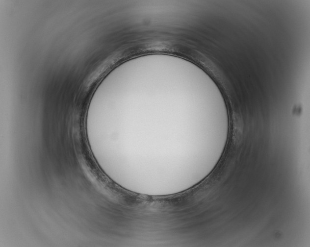 X0000113170482200909251421