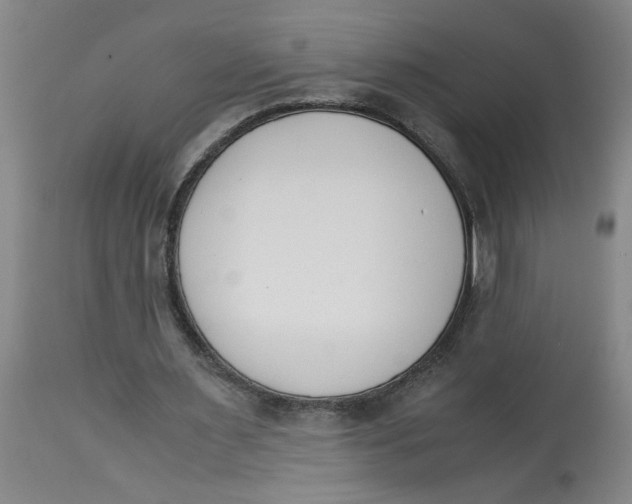 X0000113170483200909251421