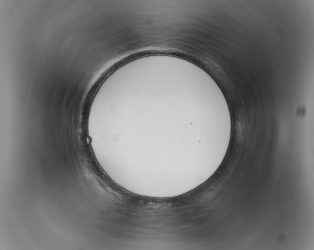 X0000113170484200909251421