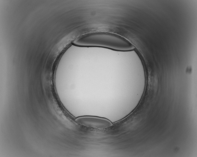 X0000113170485200909251421