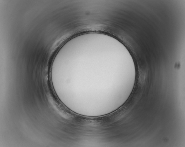 X0000113170486200909251421