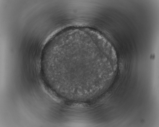 X0000113170488200909251421