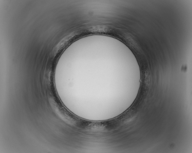 X0000113170491200909251421