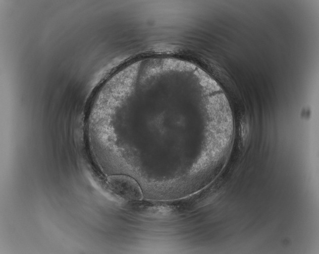 X0000113170492200909251421