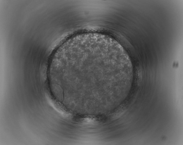 X0000113170496200909251421