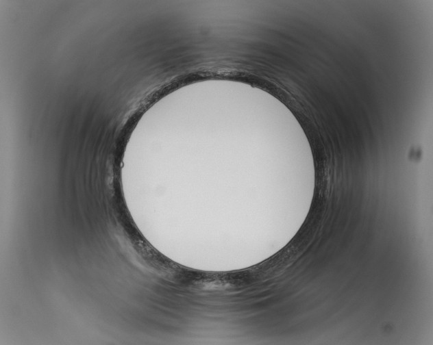 X0000113170500200909251421