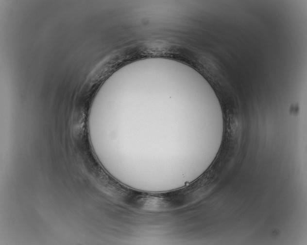 X0000113170507200909251421