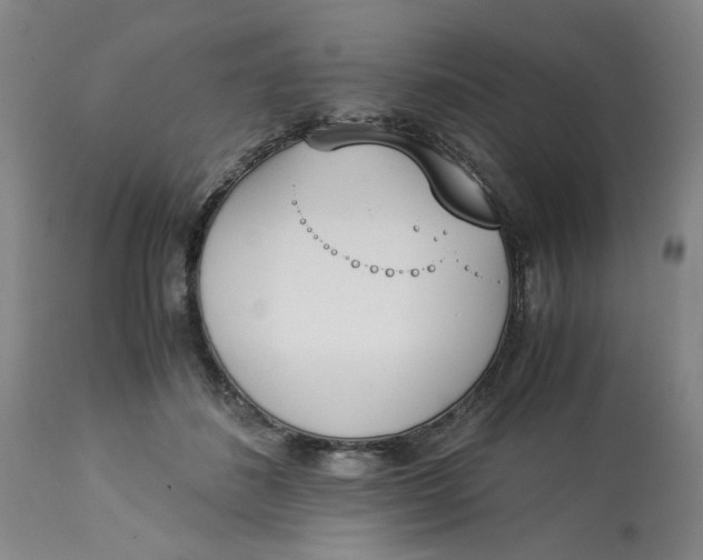 X0000113170508200909251421