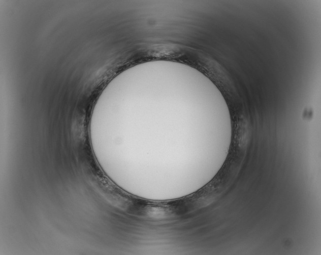 X0000113170510200909251421