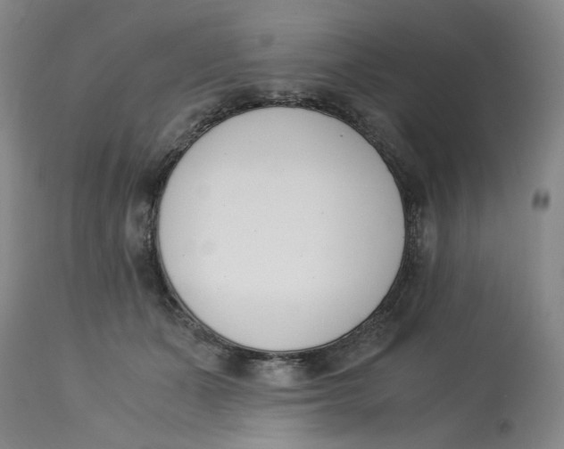 X0000113170511200909251421