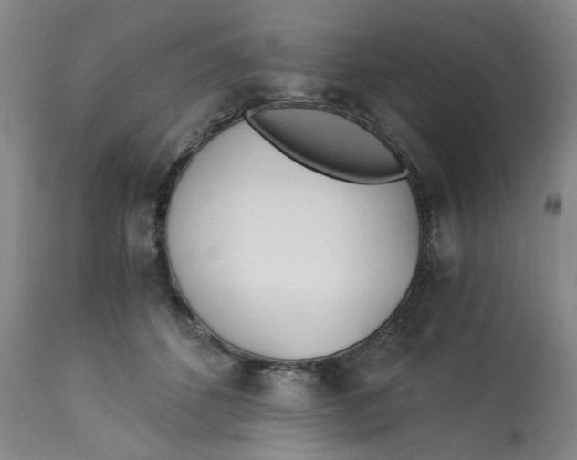 X0000113170512200909251421