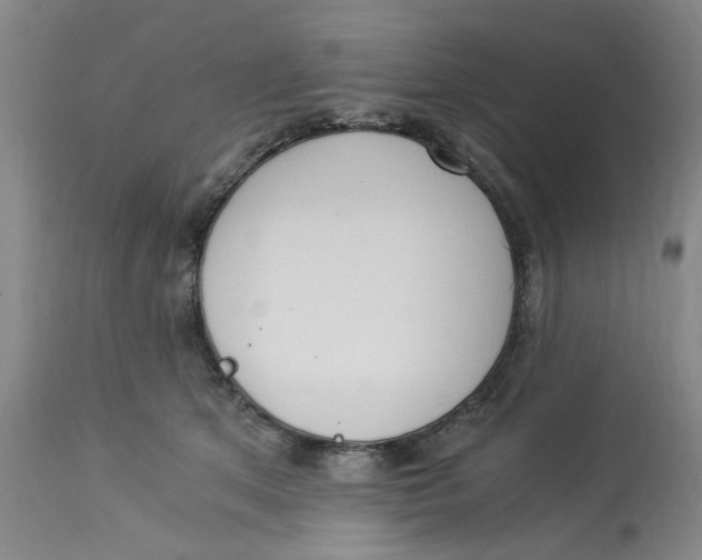 X0000113170513200909251421