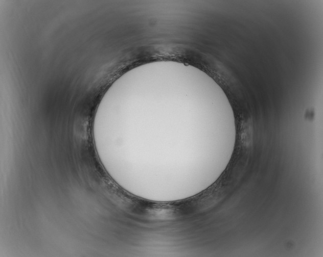 X0000113170514200909251421