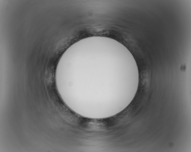 X0000113170515200909251421