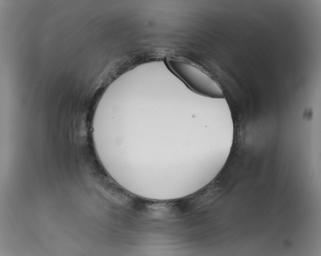 X0000113170516200909251421