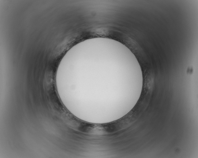 X0000113170518200909251421