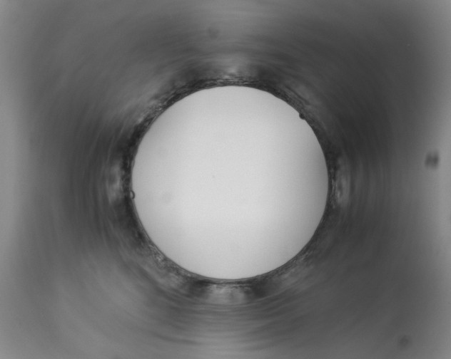 X0000113170520200909251420