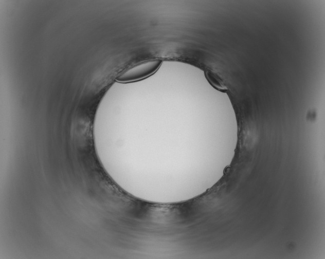 X0000113170521200909251420