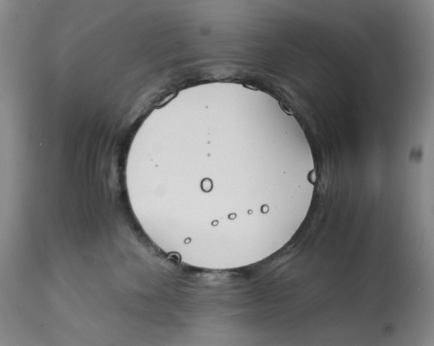 X0000113170524200909251420