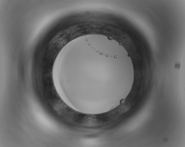 X0000113170526200909251420