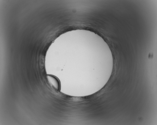 X0000113170528200909251420