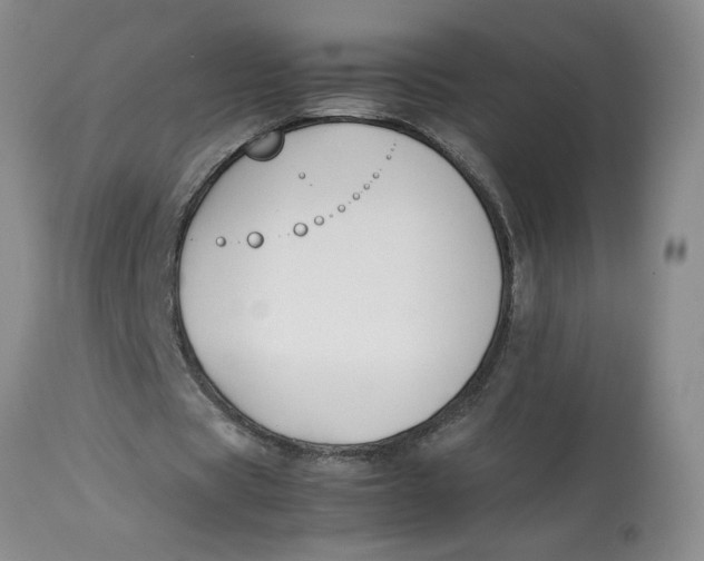 X0000113170529200909251419