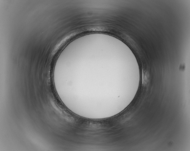 X0000113170531200909251419