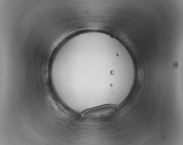 X0000113170532200909251419