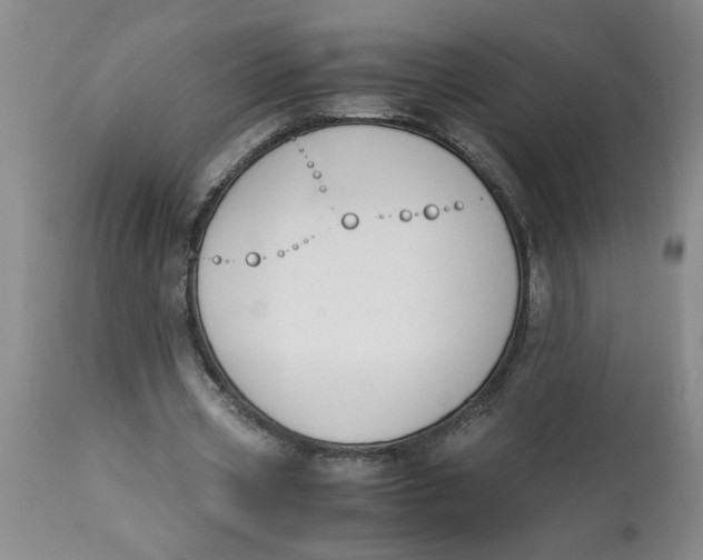 X0000113170533200909251419