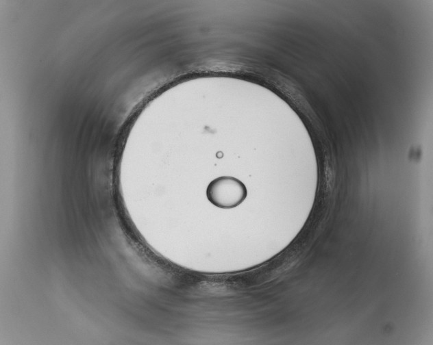 X0000113170534200909251419