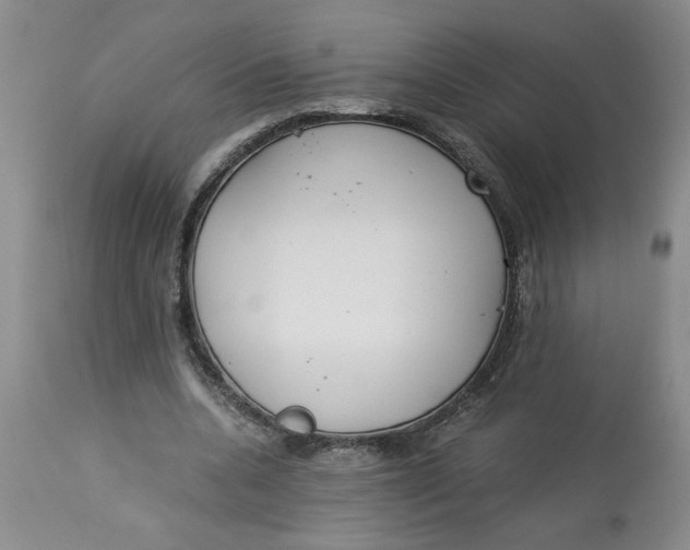 X0000113170536200909251419