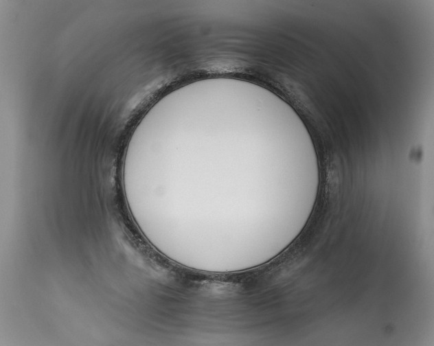 X0000113170539200909251419