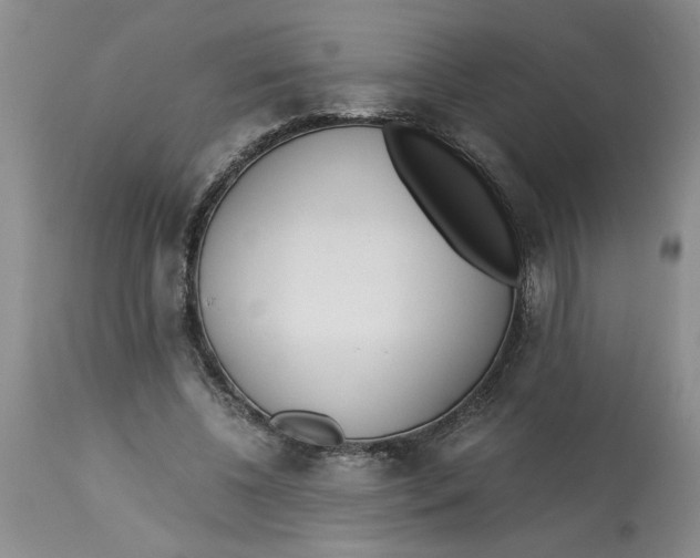 X0000113170540200909251419