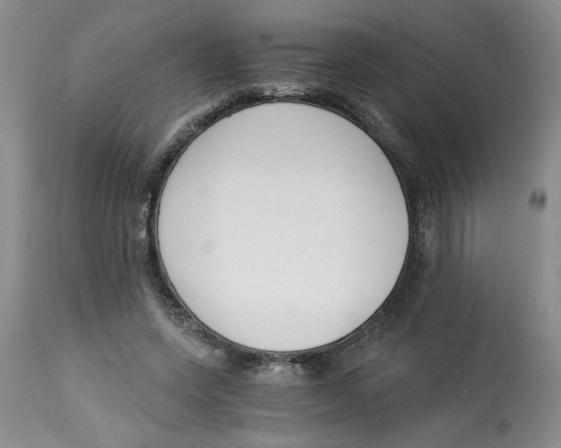 X0000113170543200909251419