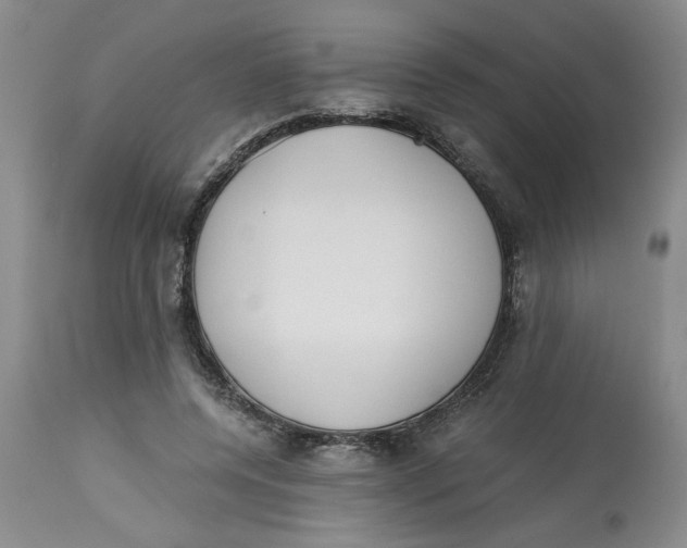 X0000113170544200909251420