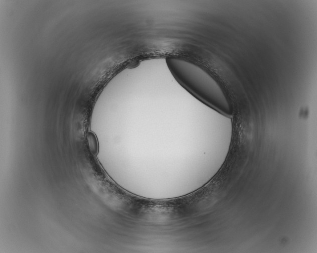 X0000113170546200909251420