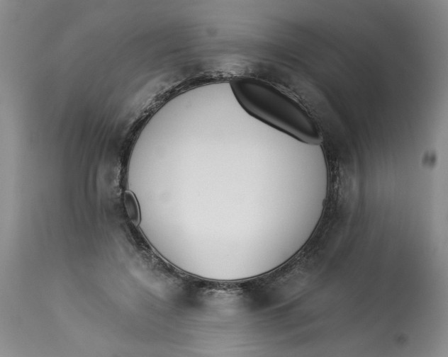 X0000113170548200909251420