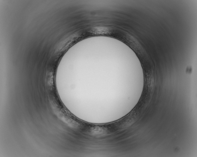 X0000113170549200909251420