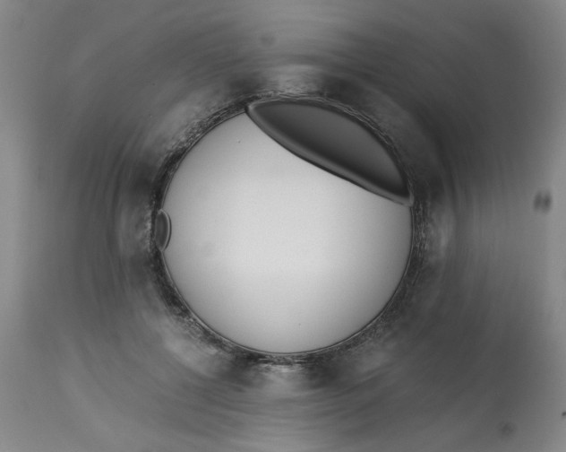 X0000113170552200909251420