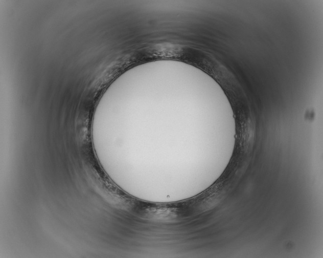 X0000113170553200909251420