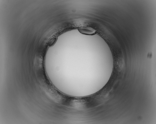 X0000113170556200909251420