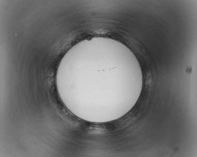 X0000113170559200909251420